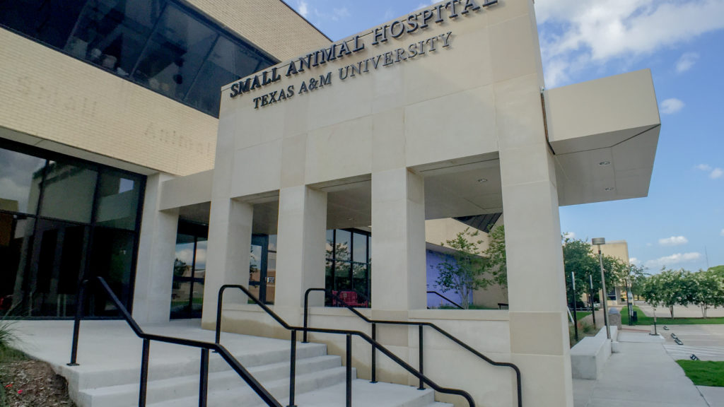Small_Animal_Hospital_-_Texas_A&M